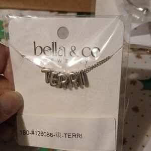 Terri Silver Necklace